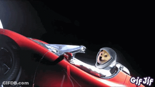 Dog In Space Suit Driving Red Car With GIF Jif GIF