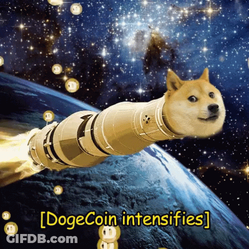Dog In Space With Dogecoin Intensifies GIF