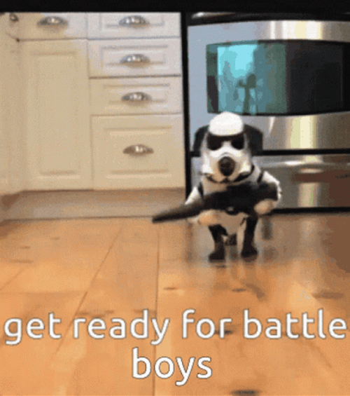 Dog In Star Wars Costume GIF