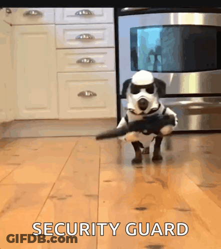 Dog In Stormtrooper Costume Holding Gun In Kitchen GIF