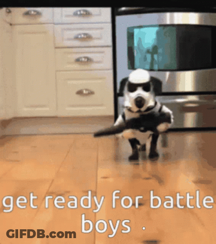 Dog In Stormtrooper Costume Walking GIF