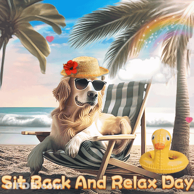 Dog In Straw Hat And Sunglasses On Beach GIF