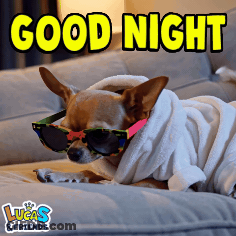Dog In Sunglasses And Bathrobe Good Night GIF