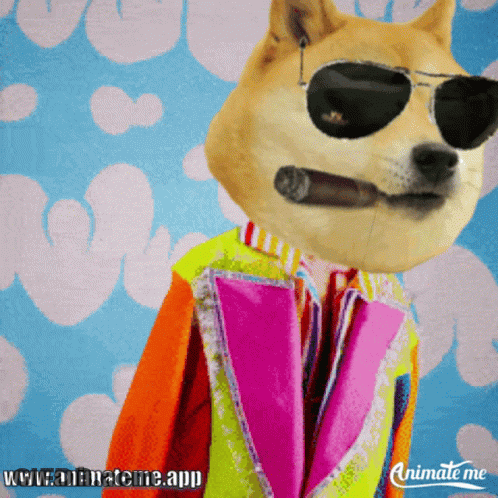 Dog In Sunglasses And Colorful Jacket With Www.animateme.app GIF