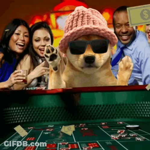 Dog In Sunglasses And Hat Playing Roulette GIF