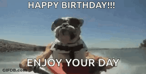 Dog In Sunglasses And Life Jacket On Jet Ski GIF