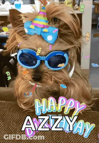Dog In Sunglasses And Party Hat Happy Azzyay GIF