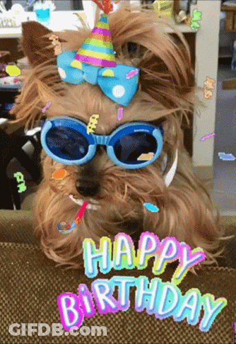 Dog In Sunglasses And Party Hat Saying Happy Birthday GIF