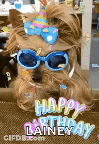 Dog In Sunglasses And Party Hat Says Happy Birthday Lainey GIF