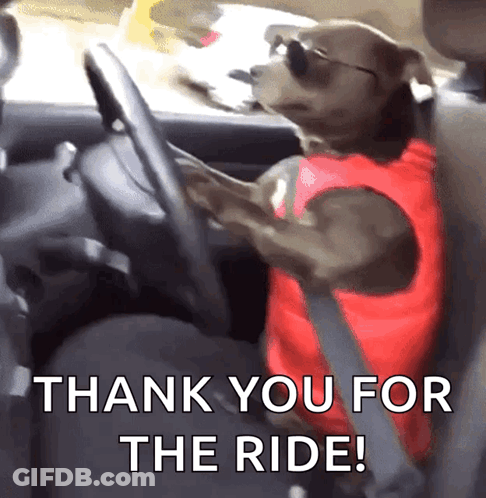 Dog In Sunglasses Driving Car Saying Thank You For The Ride GIF