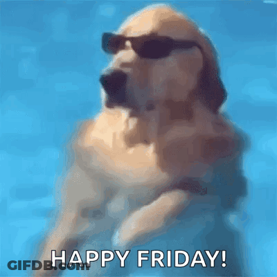 Dog In Sunglasses Jumping Out Of Pool Happy Friday GIF