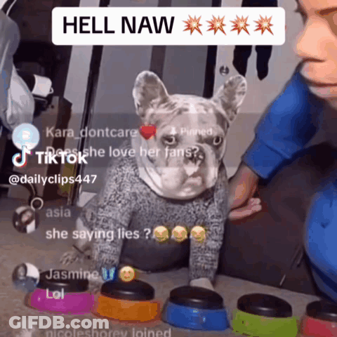Dog In Sweater With Person And Hell Naw GIF