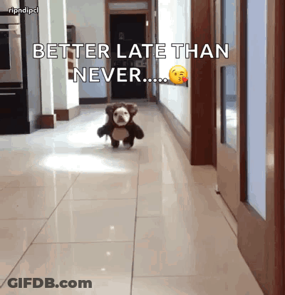 Dog In Teddy Bear Costume Running Better Late Than Never GIF