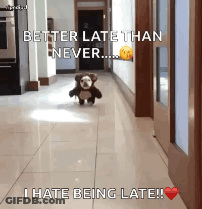 Dog In Teddy Bear Costume Running Better Late Than Never GIF