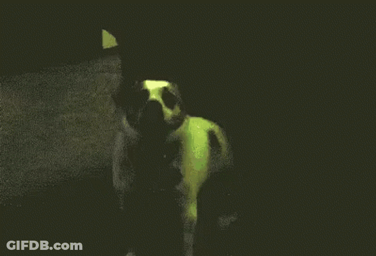 Dog In The Club GIF