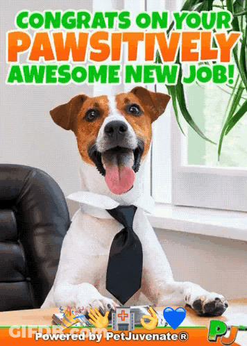 Dog In Tie Congratulations On Pawsitively Awesome New Job GIF