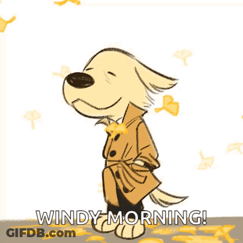 Dog In Trench Coat Windy Morning GIF