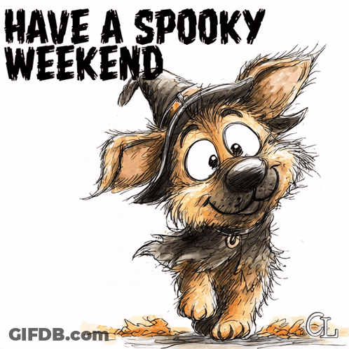 Dog In Witch Hat Have A Spooky Weekend GIF