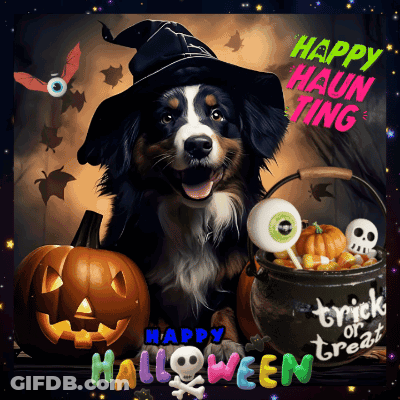 Dog In Witch Hat Surrounded By Pumpkins And Cauldron Saying Happy Haunting GIF