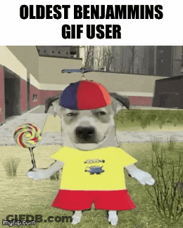Dog In Yellow Shirt And Red Shorts Holding Lollipop GIF