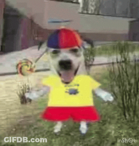 Dog In Yellow Shirt And Red Shorts Holding Lollipop And Hat GIF