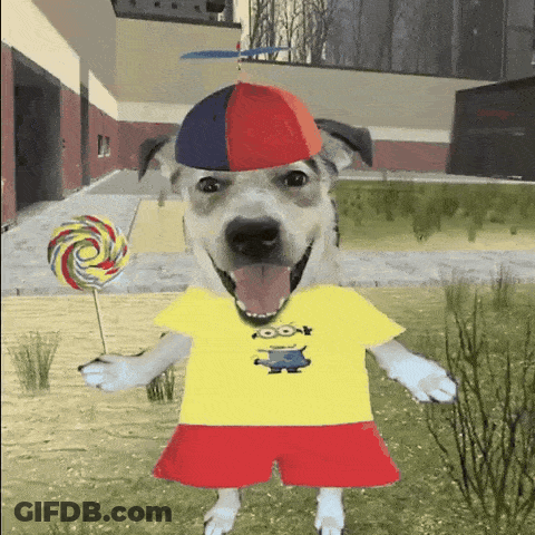Dog In Yellow Shirt With Minion Holding Lollipop GIF