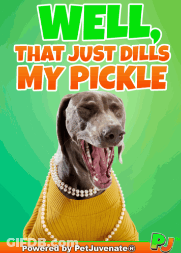 Dog In Yellow Sweater And Pearls Saying Well That Just Dill My Pickle GIF