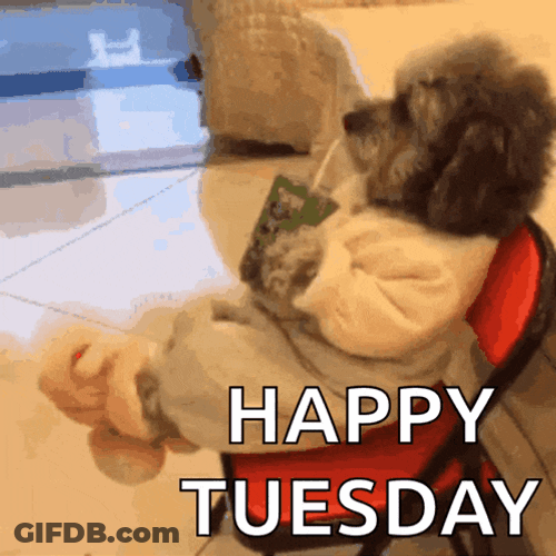 Dog Juicebox GIF