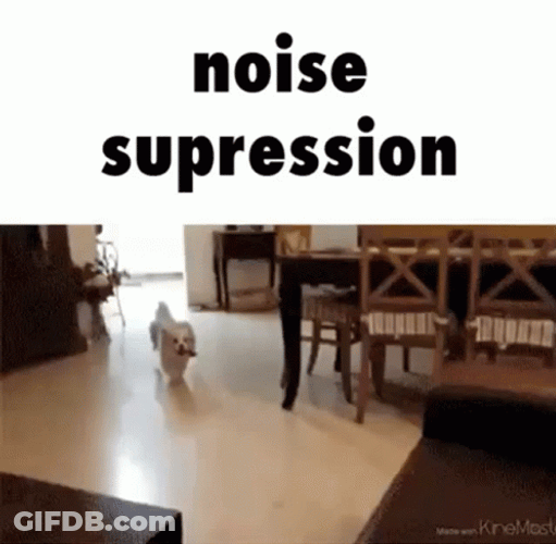 Dog Jump Fail Noise GIF