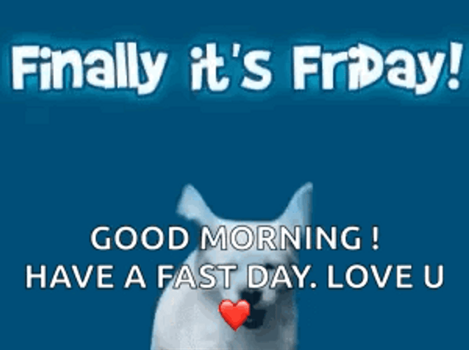 Dog Jumping Happy Friday Meme GIF
