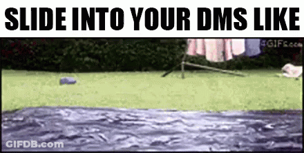Dog Jumping Into Pool Slide Into Your DMs Like GIF