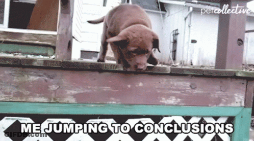 Dog Jumping Over Fence Saying Me Jumping To Conclusions GIF