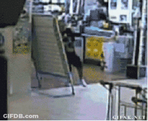 Dog Jumping Over Ladder In Store Saying GIF.net GIF