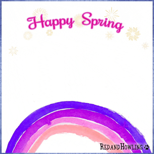 Dog Jumps Over The Rainbow For It's The First Day Of Spring GIF