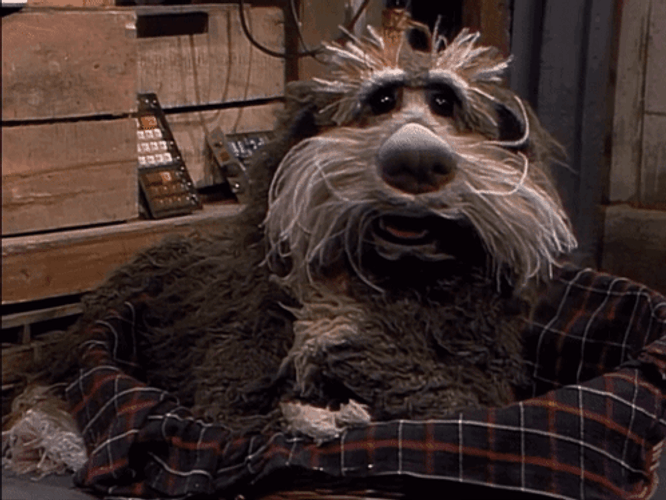 Dog Laughing Covering Face GIF