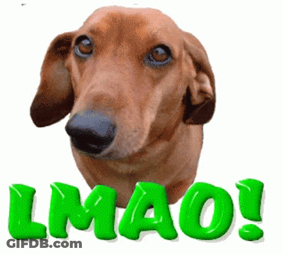 Dog Laughing Cutely GIF