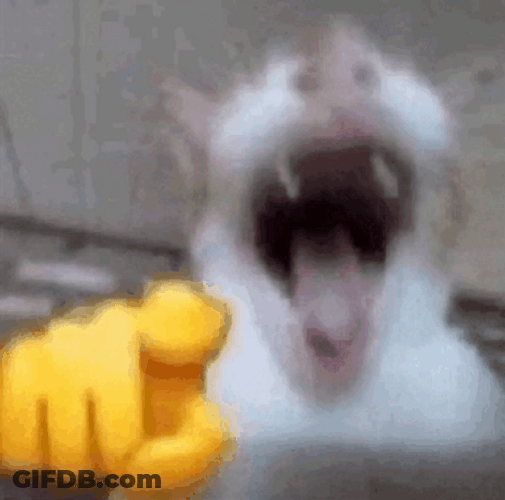 Dog Laughing With Hand Pointing GIF