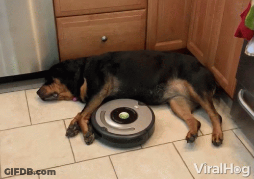 Dog Laying Beside Robotic Vacuum Cleaner With Viralhog GIF