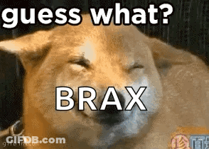 Dog Laying Down Eyes Closed Guess What Brax GIF