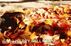 Dog Laying In Leaves Happy Fall Yall GIF