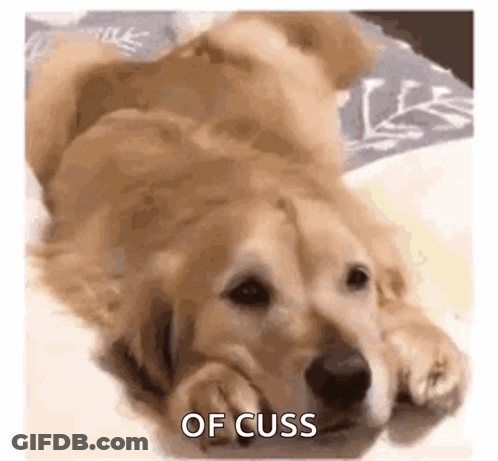 Dog Laying On Back Saying Of Cuss GIF