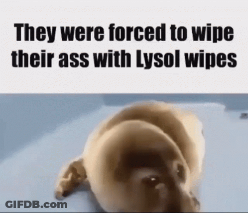 Dog Laying On Back With Lysol Wipes GIF
