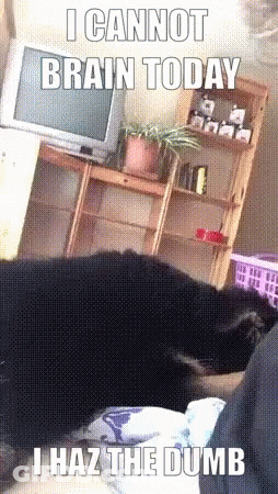 Dog Laying On Bed I Cannot Brain Today GIF
