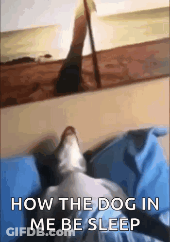 Dog Laying On Bed Saying How The Dog In Me Be Sleep GIF