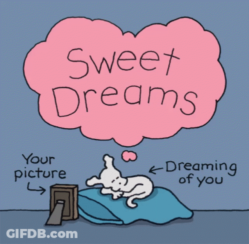 Dog Laying On Bed Saying Sweet Dreams GIF