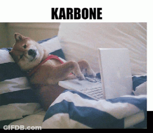 Dog Laying On Bed With Laptop Karbone GIF