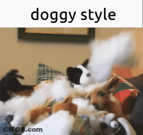 Dog Laying On Bed With Stuffed Animals Saying Doggy Style GIF