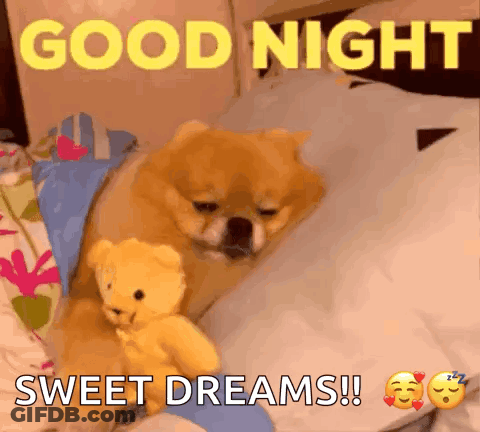 Dog Laying On Bed With Teddy Bear GIF