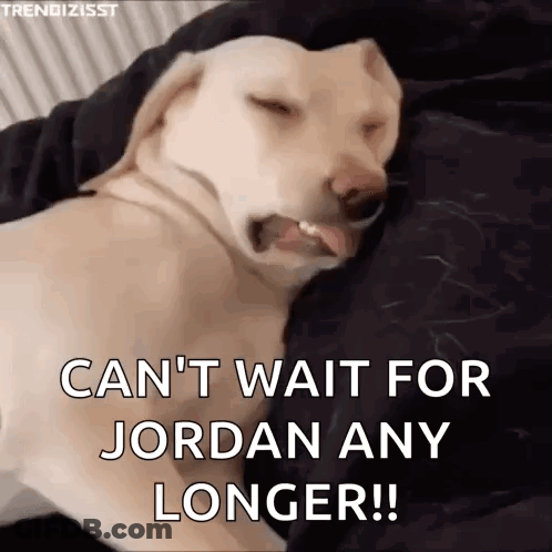 Dog Laying On Bed With Tongue Out Saying Can't Wait For Jordan Any Longer GIF