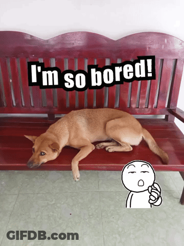 Dog Laying On Bench Saying I'm So Bored GIF